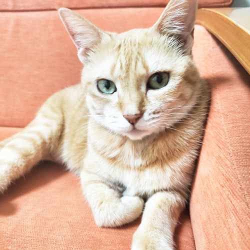 Sarry’s Notes　#3.芸術の秋、国宝