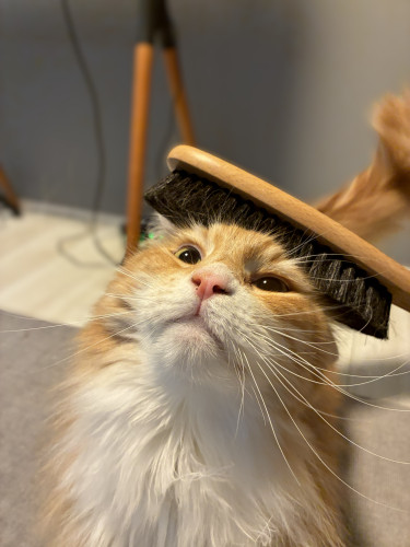 Sarry’s notes #12.お気に入りグッズ