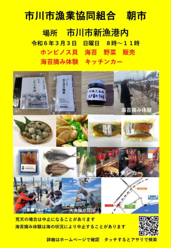 市川漁港黄色　広告　2024.3.3.jpeg