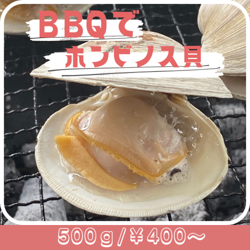 BBQピンク .png