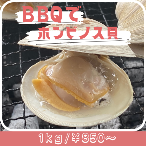 BBQピンク.png