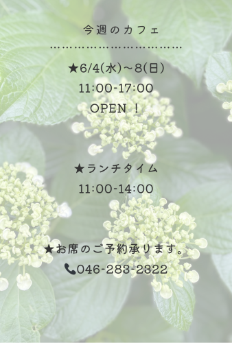 今週のカフェ