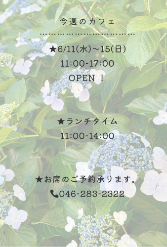 今週のカフェ
