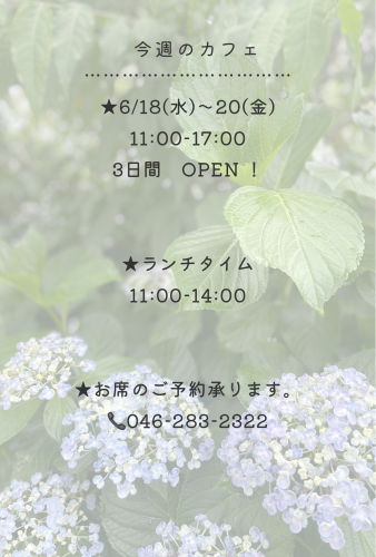 今週のカフェ