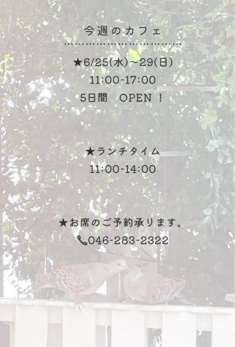 今週のカフェ
