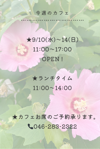 今週のカフェ