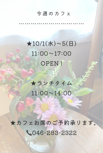 今週のカフェ