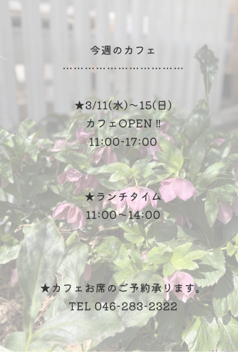 今週のカフェ