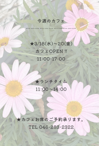 今週のカフェ