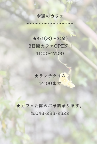 今週のカフェ