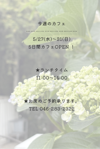 今週のカフェ
