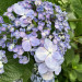 IMG_8986.jpeg