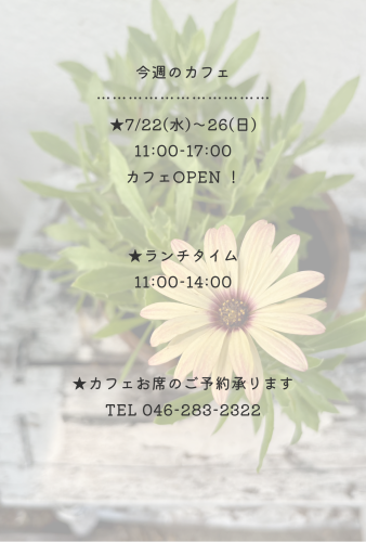 今週のカフェ