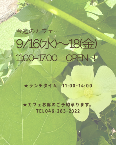 今週のカフェ