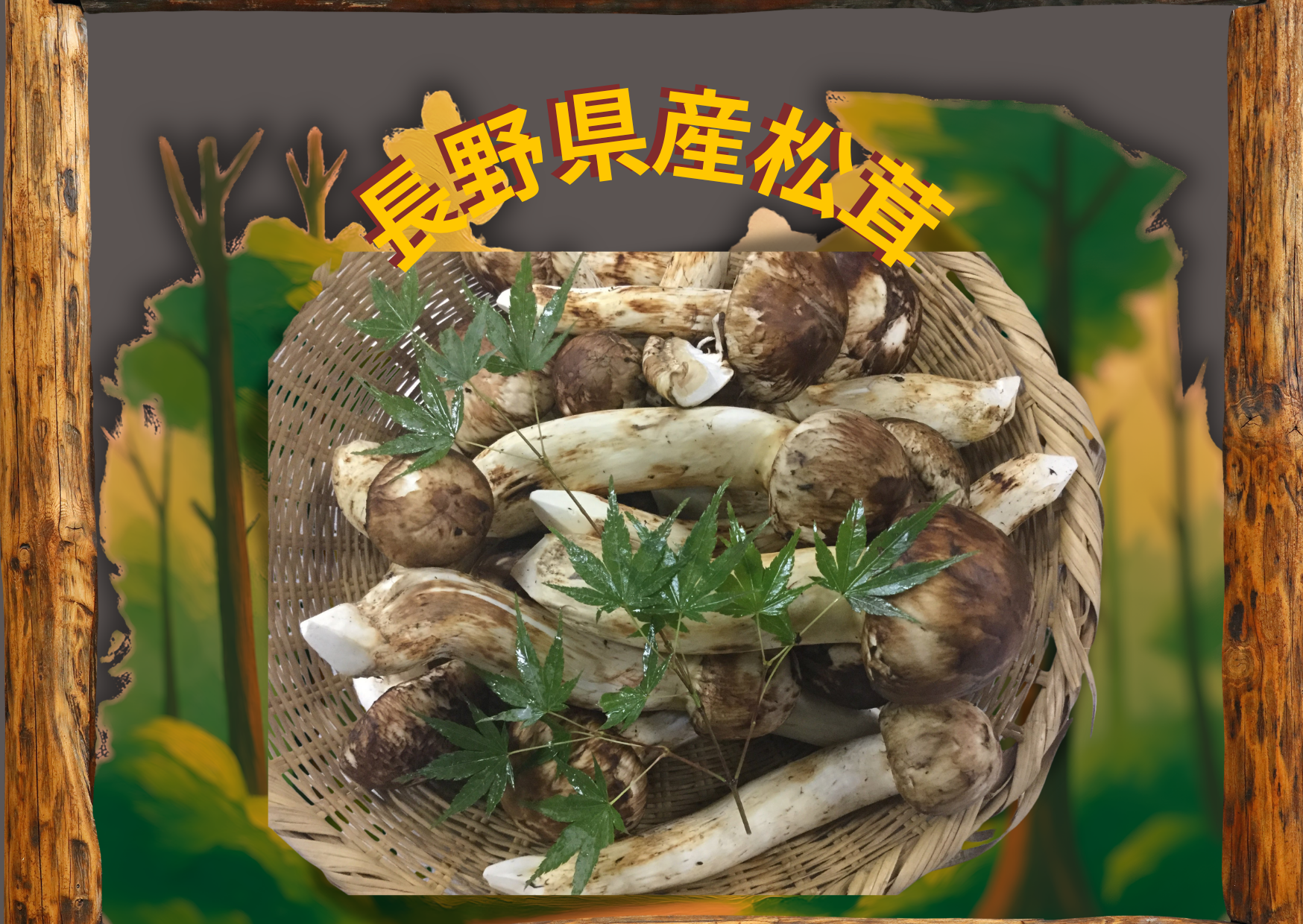 ✅長野県産松茸