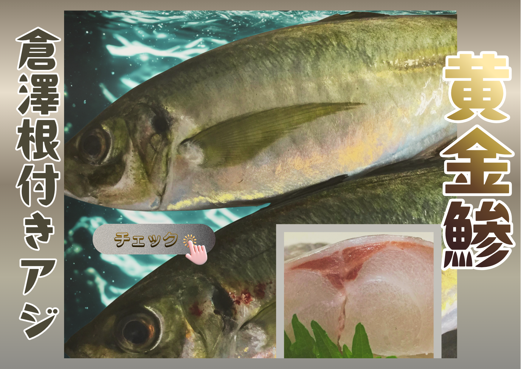 ✅倉澤根付きアジ