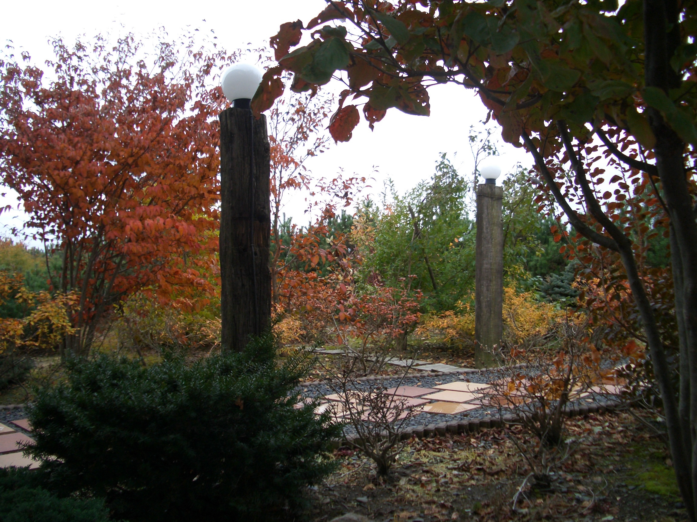 玄関への小道は秋の静けさ（11月）.JPG