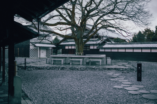 年末年始お休み＆営業日のお知らせ