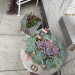 IMG_3136.jpeg