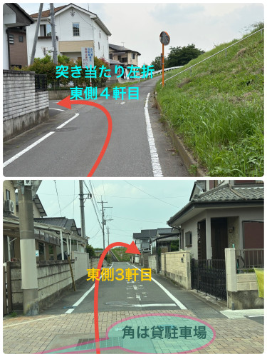 IMG_3600.jpeg