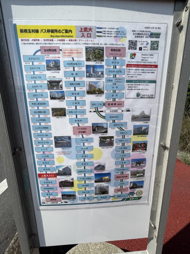 IMG_3229.jpeg