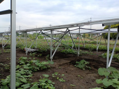 maebashishi-kasukawa-machi-Agrivoltaics-solar-cleaning.jpg