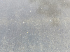 20260609_122306.jpg