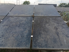 20260609_122451.jpg