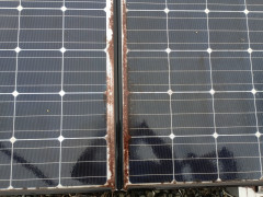 maebashishi-Solar panel cleaning-2026.07.22.jpg