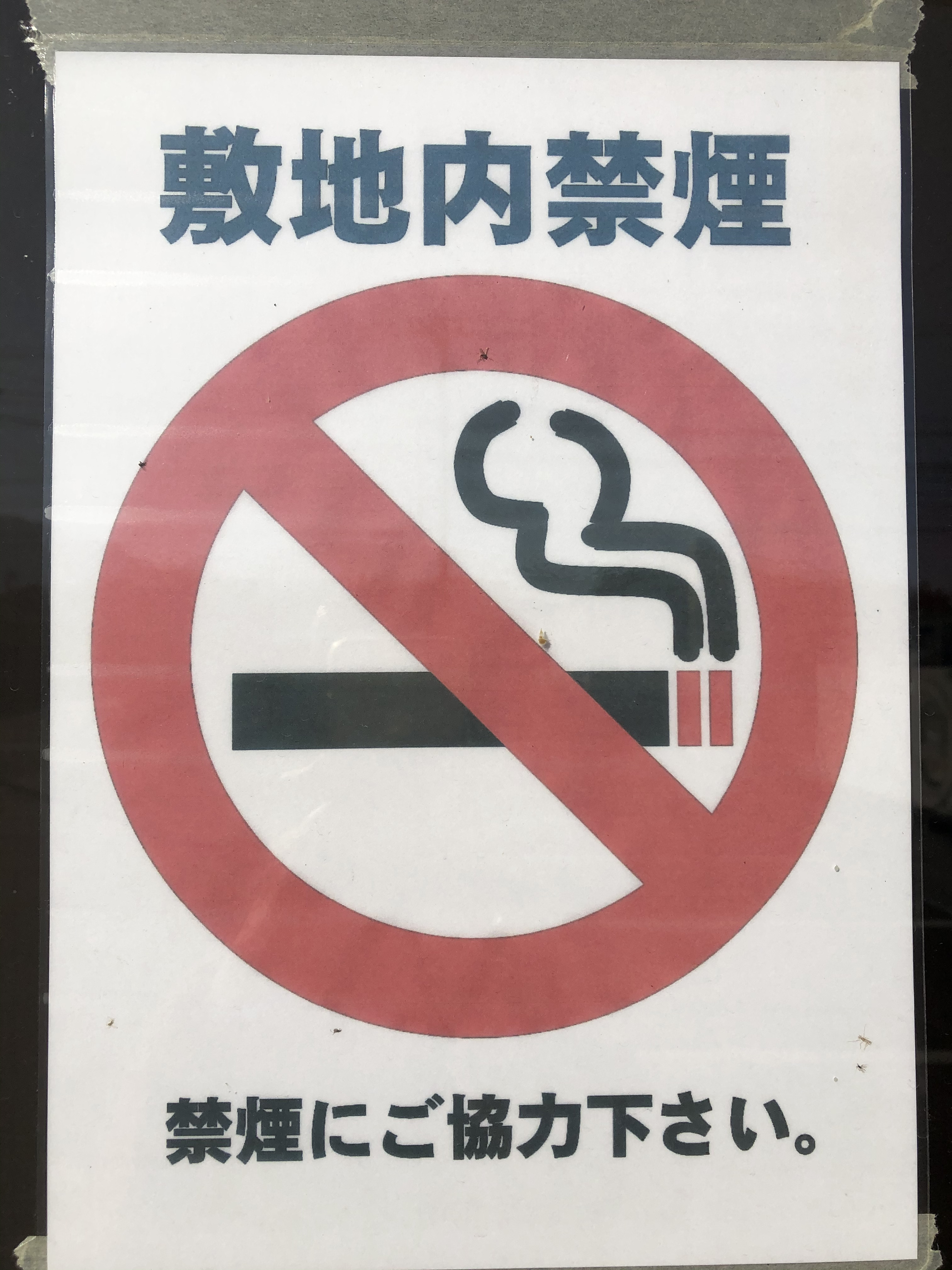 敷地内禁煙です