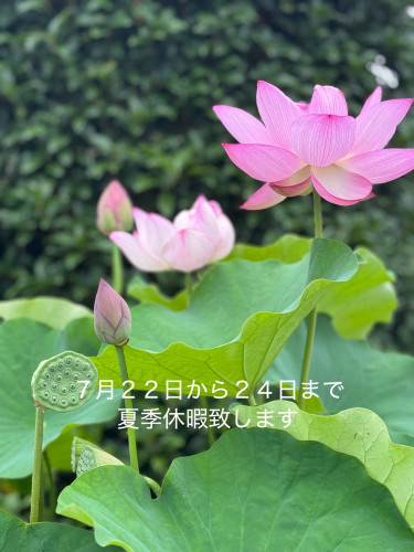 夏季休暇のお知らせです