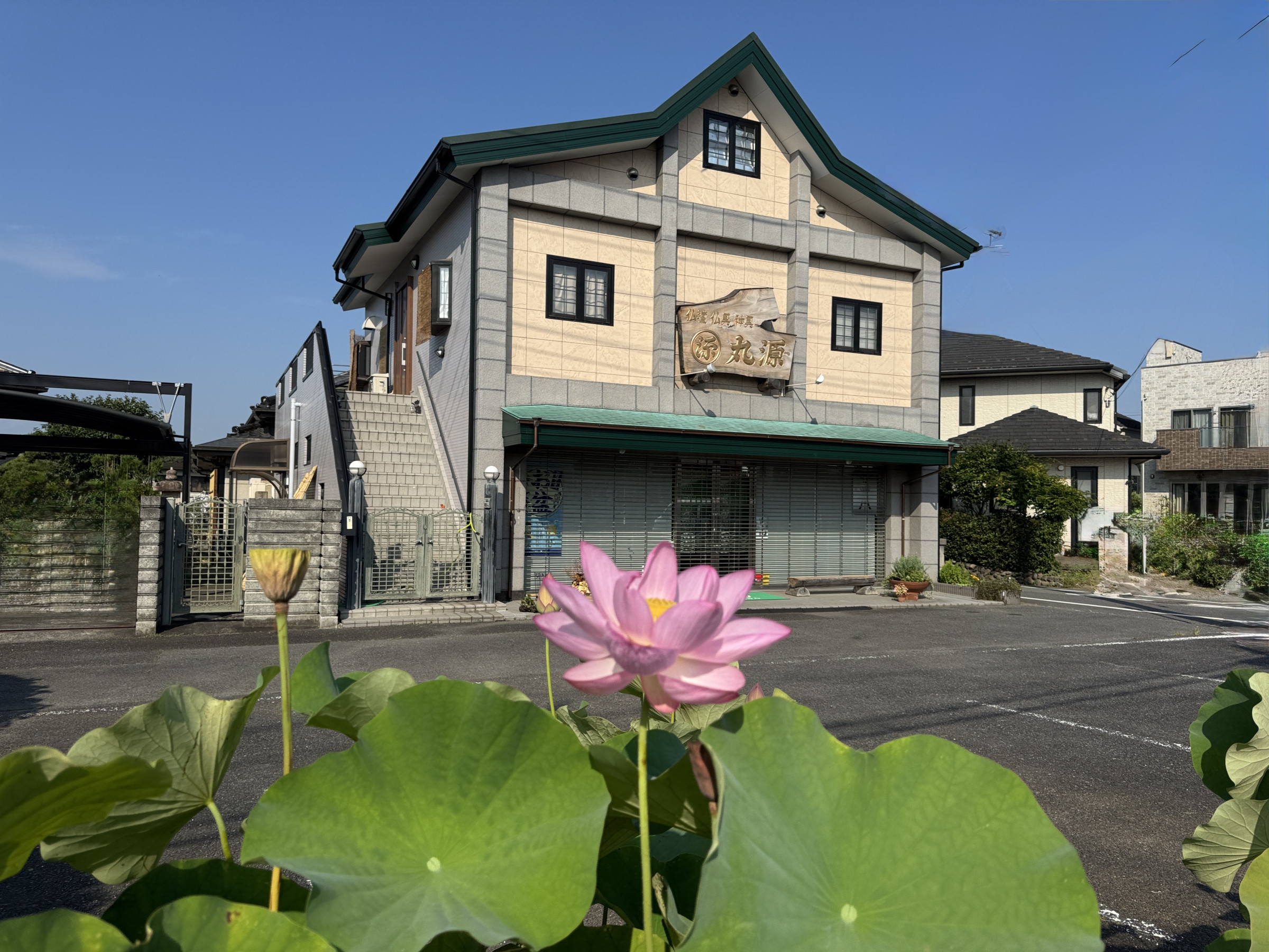 2026　ハス③