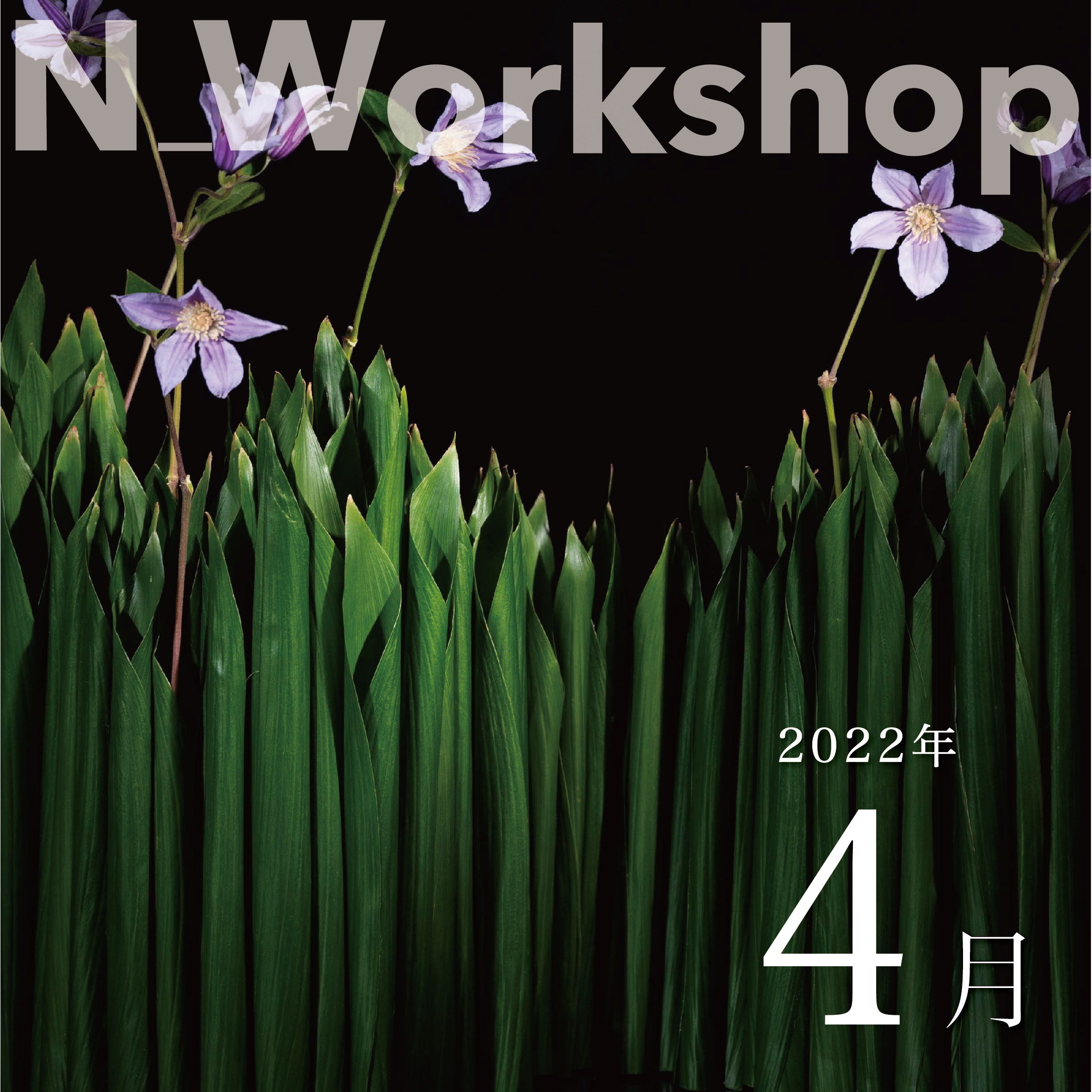  N_Workshop 4月の参加者募集中！
