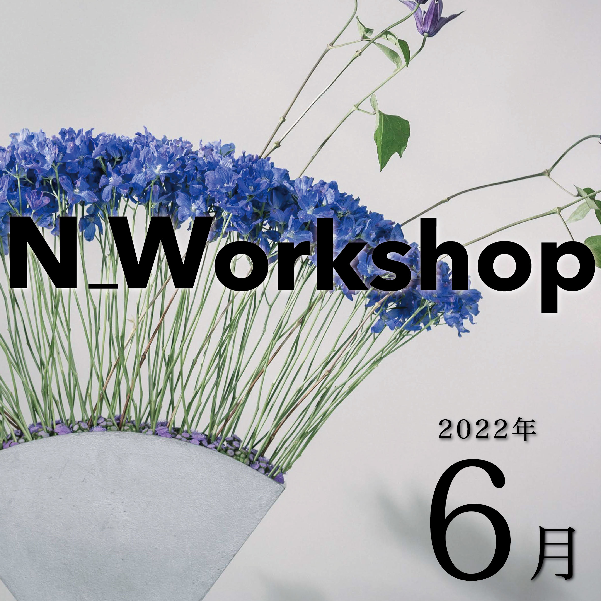  N_Workshop 6月の参加者募集中！