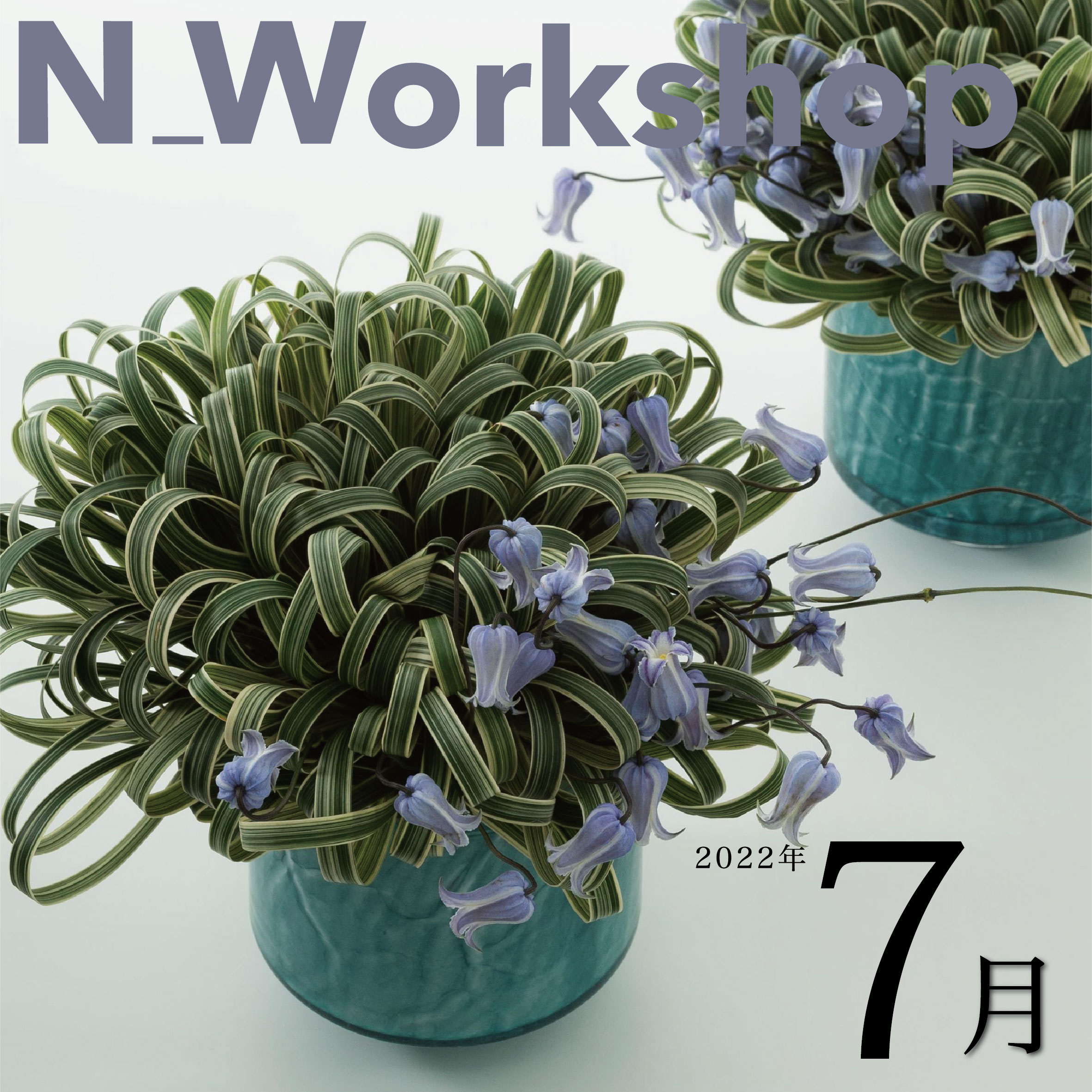  N_Workshop 7月の参加者募集中！