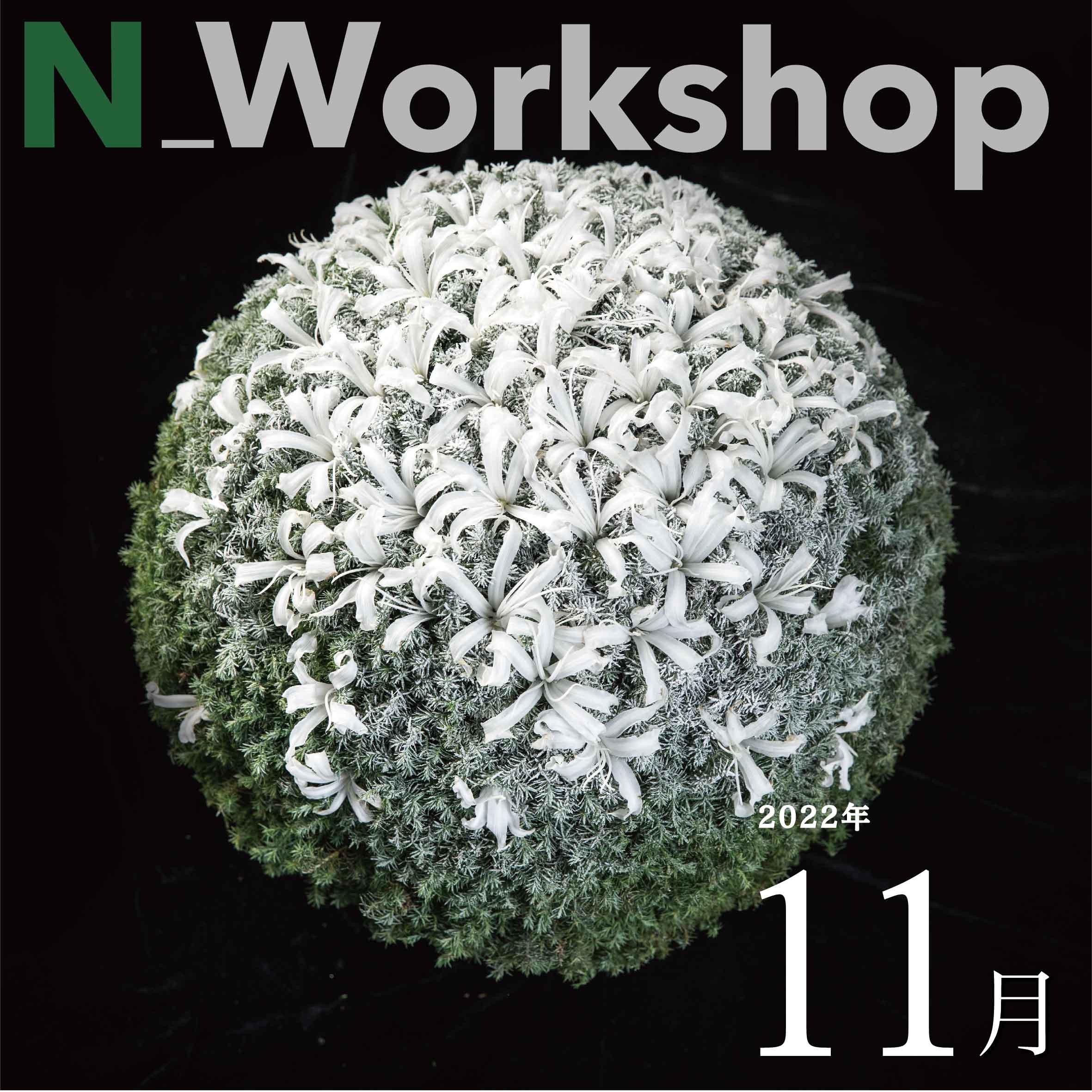  N_Workshop 11月の参加者募集中！