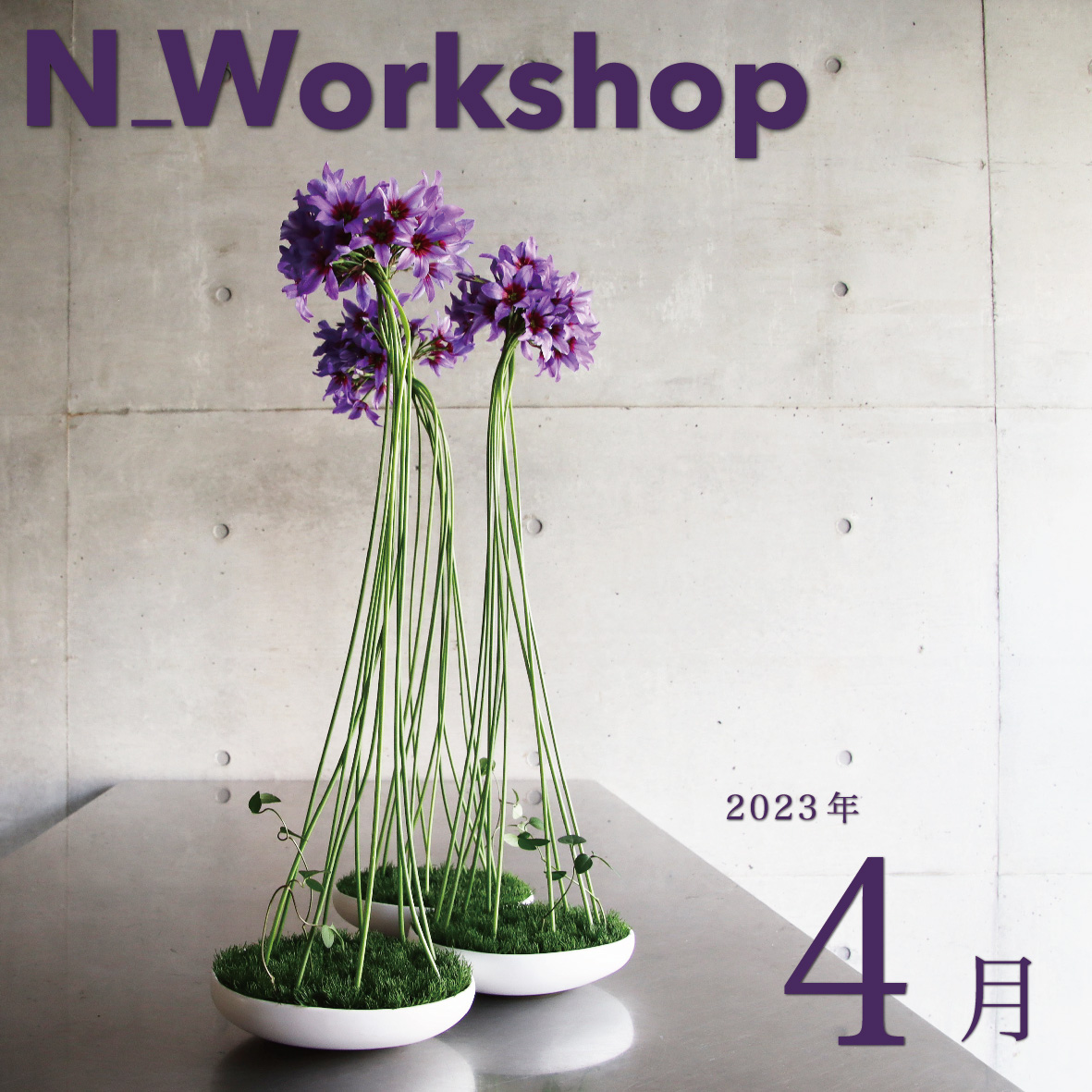  N_Workshop 4月の参加者募集中！