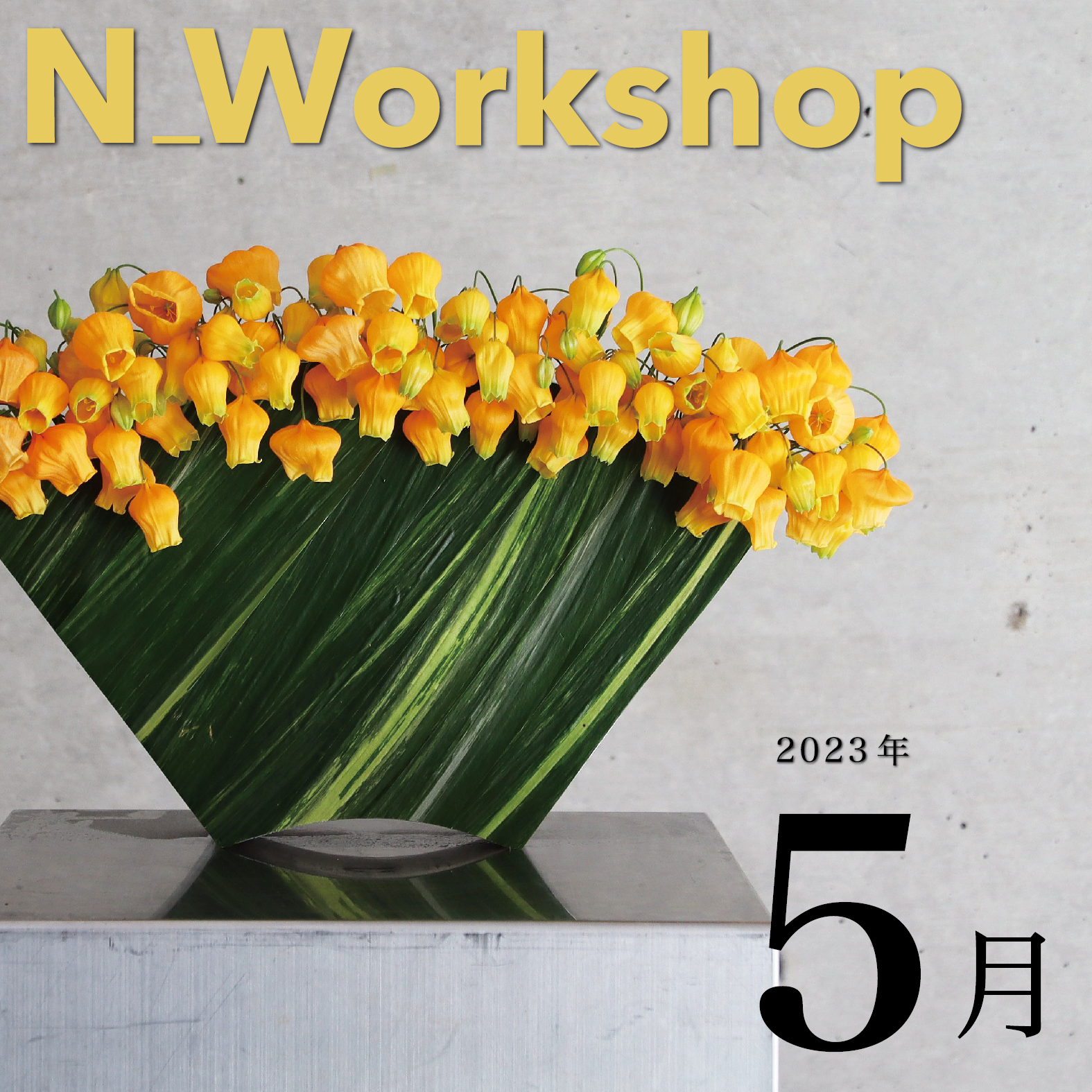  N_Workshop 5月の参加者募集中！
