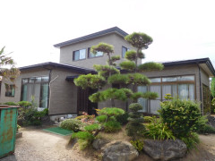 DSCN4621.JPG