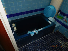 DSCN5251.JPG