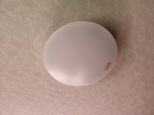 86409_0.jpg