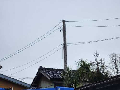 88060_0.jpg