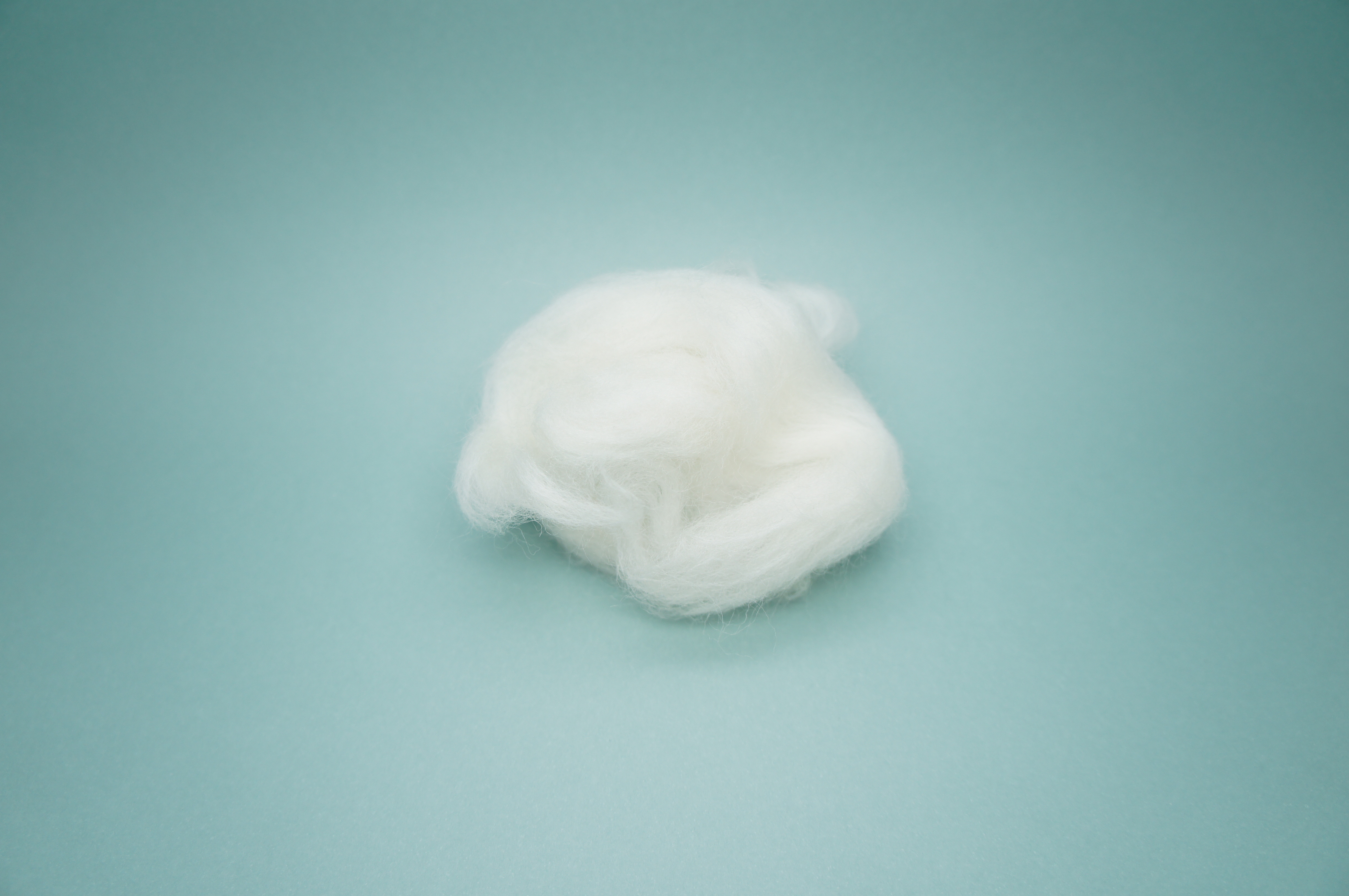 チンアナゴつくるぞ〜！