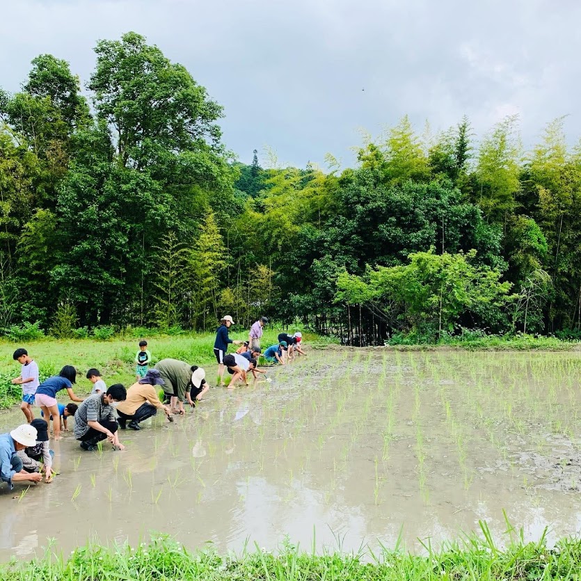 ハッピーヒル田植え