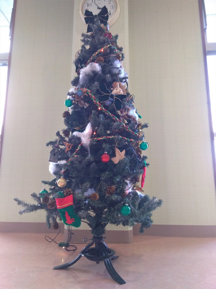 クリスマスツリー登場🎄