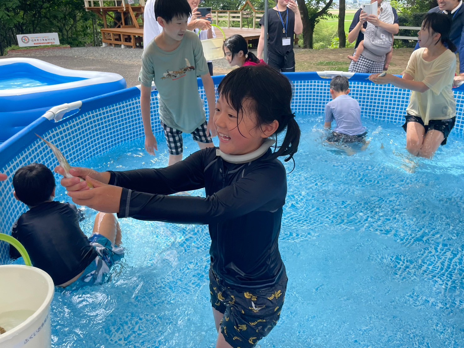 🐟　お魚つかみ　🐟