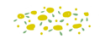hana2.png