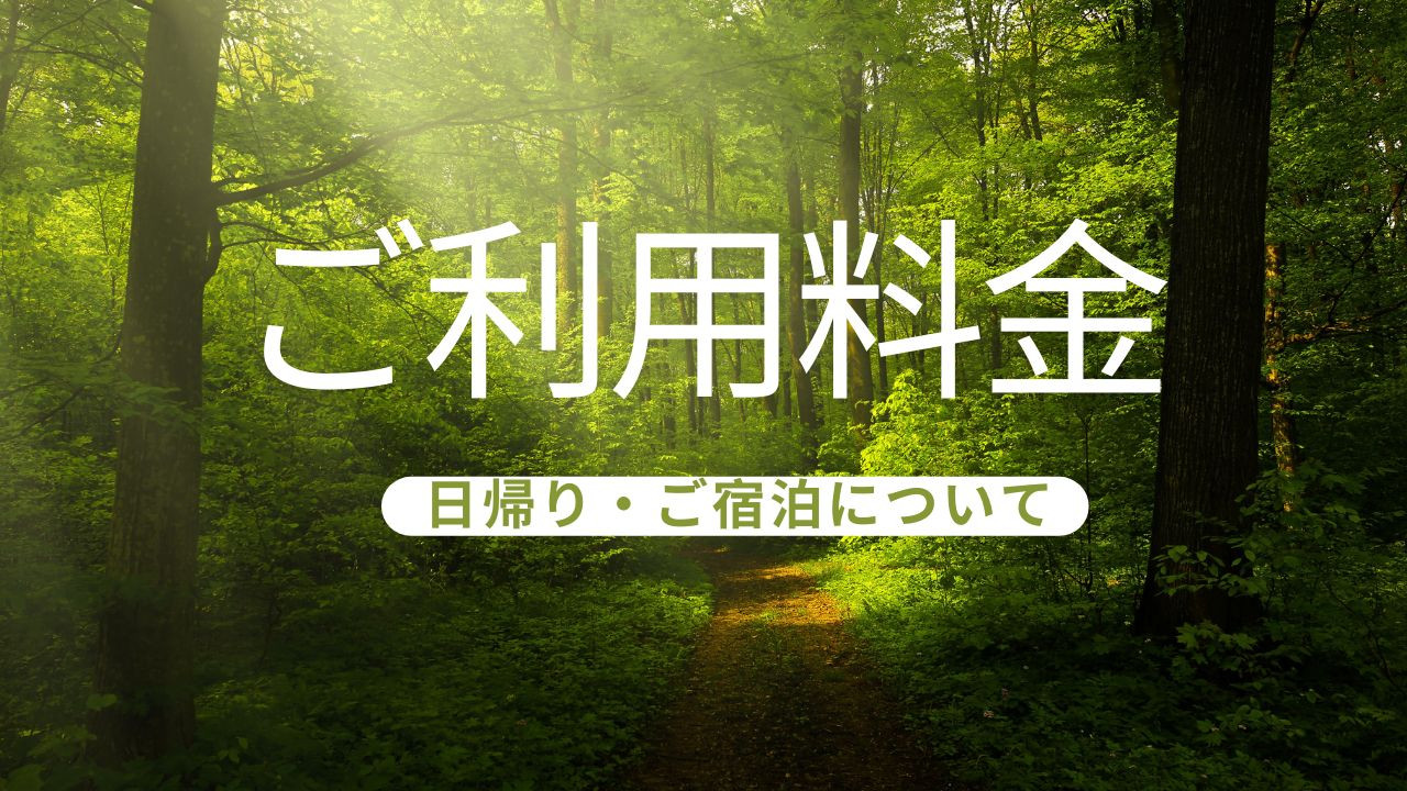 Green and White Minimalist Nature Travel Vlog Youtube Thumbnail (1).jpg