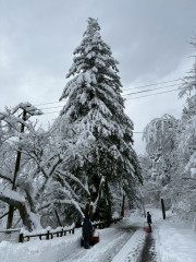 LINE_ALBUM_2026125 除雪作業_260125_2.jpg