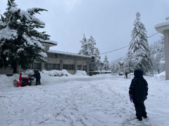 LINE_ALBUM_2026125 除雪作業_260125_13.jpg